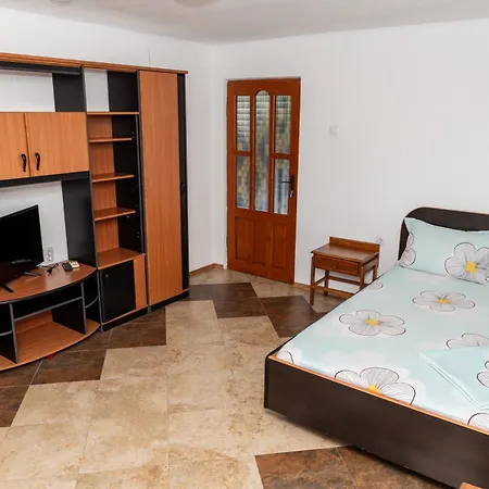 Pansiyon Casa Tudor Vama Veche