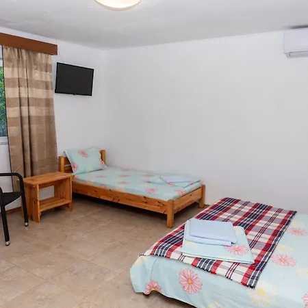 Casa Tudor Vama Veche